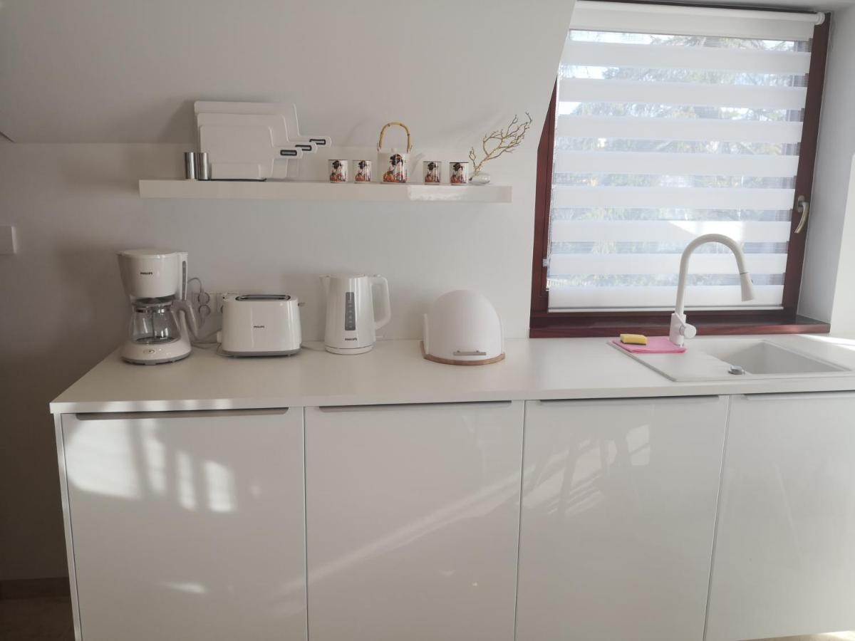 Willa Nika, Apartamenty Zakopane Buitenkant foto